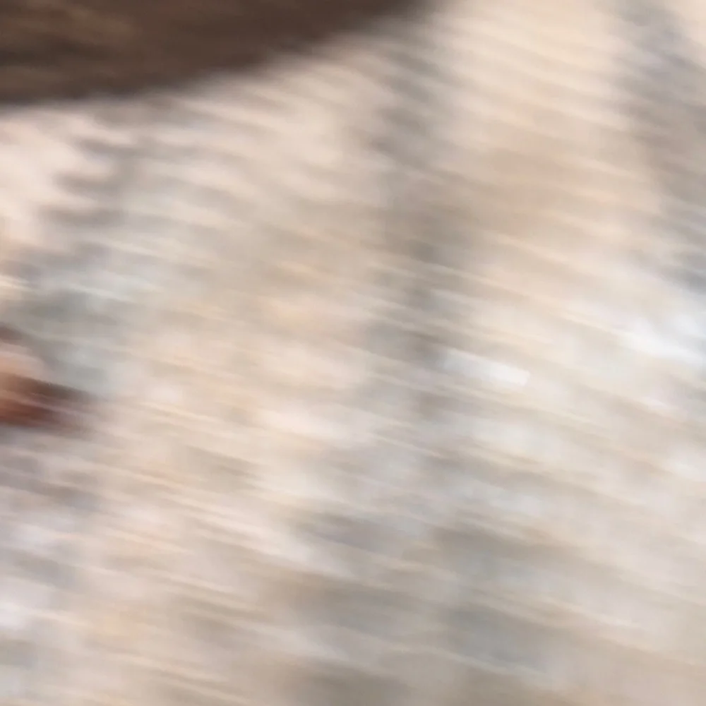 Miniature Brown Ceramic Squirrel  with Acorn Figurine - Picture 3 of 8